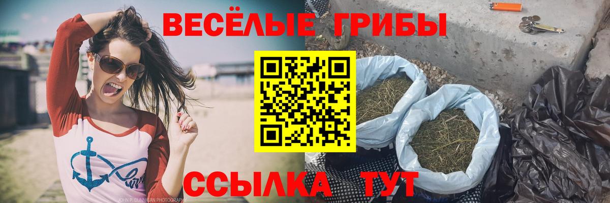 Псилоцибиновые грибы ЛСД Пугачёв